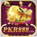 pkr-888-game-apk-download-for-android